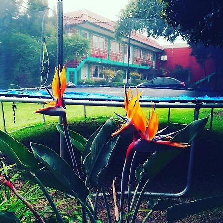 Hotel Las Fumarolas De Don Goyo Cholula Eksteriør billede